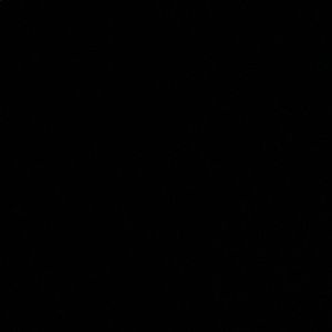 Meet your Posher, Nini